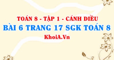 Bài 6 trang 17 SGK Toán 8 tập 1 Cánh Diều